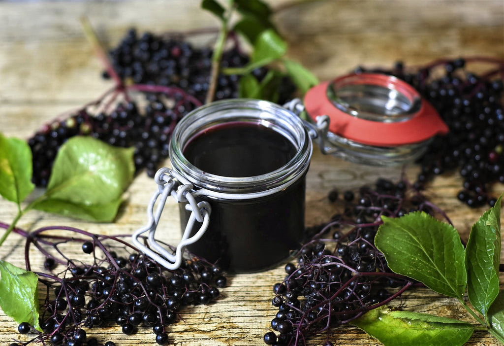 elderberry syrup recipe salt and seaweed apothecary
